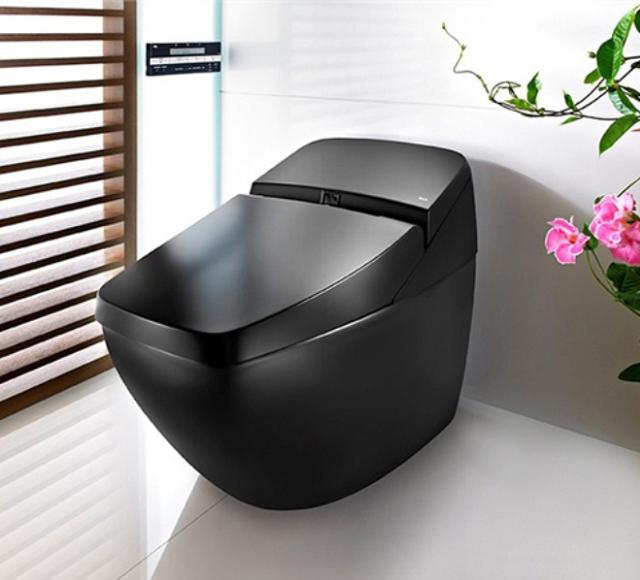 Ein Schwarzes WC mit Bidet?