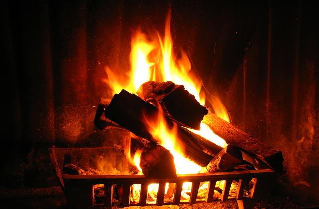 die Rosen zu der Kälte und den Krankheiten zu widerstehen