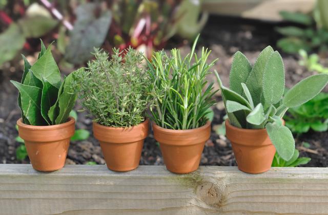 deswegen wählen sie den sonnigsten Teil Ihres Balkons aus