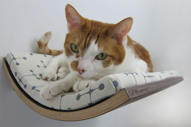 ein kleines gewölbtes Regal