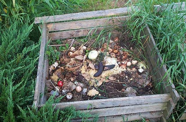 Der Kompost