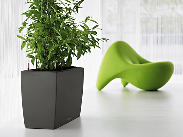 Der Blumentopf mit dem automatischem Bewässerungssystem