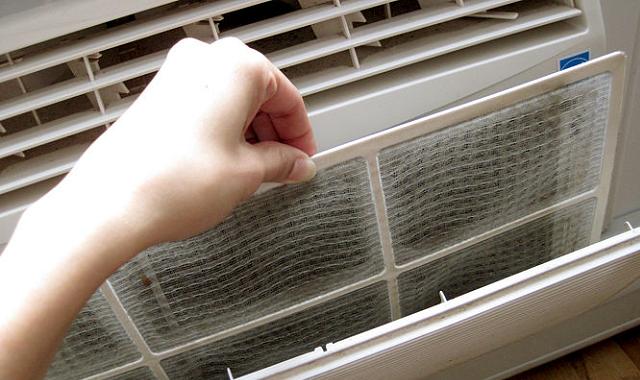 Bevor Sie den Filter wieder in sein Fach legen