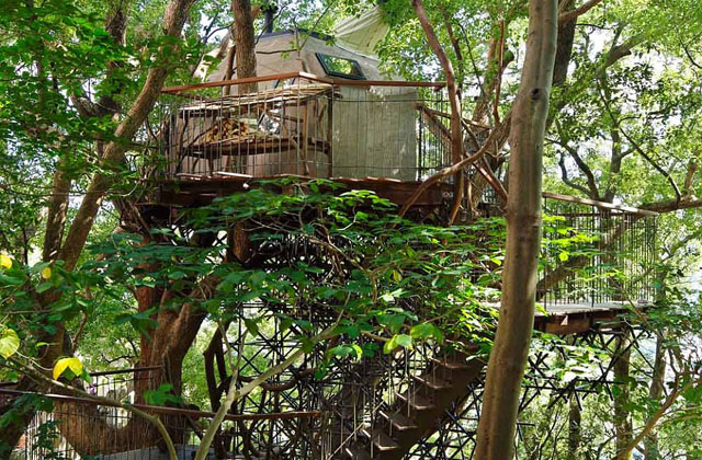 ein Baumhaus gewünscht