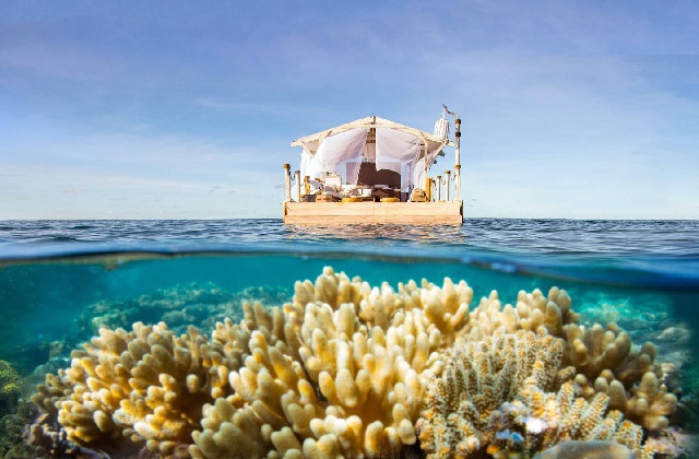 Great Barrier Reef in Australien