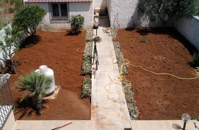 50 Gramm Samen für einen Quadratmeter Land