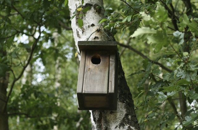 das Häuschen nach unseren Wünschen platzieren können