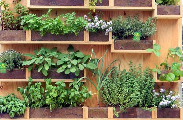 Bewässerungs- und Zerstäubungssystems