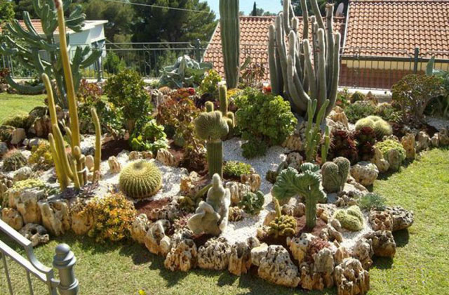 Garten mit Fettpflanzen