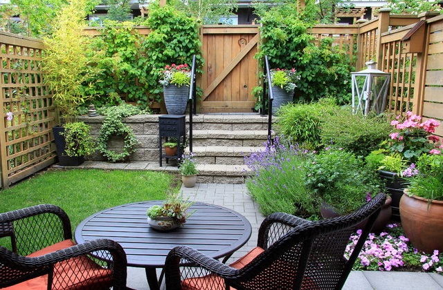 Die besten Heckenpflanzen