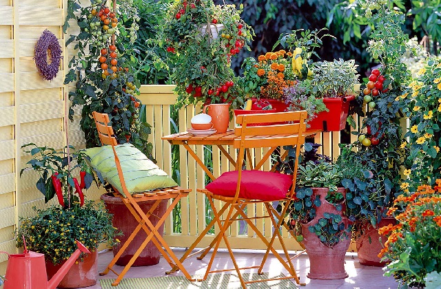 Nützliche Tipps für die Gestaltung einer blumenreichen Terrasse