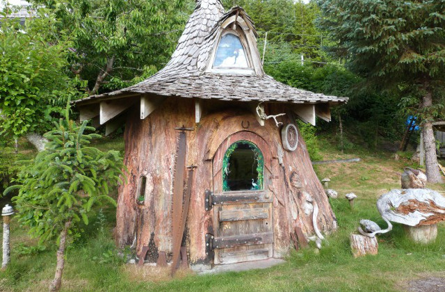 In einem riesigen Mammutbaum leben