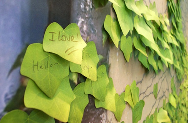 Ein Block aus Efeublätter